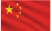 translate to Chinese