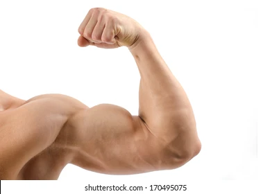 Person performing an upper body exercise