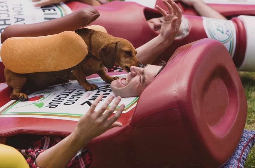 Dachshund reuniting with a man dressed as a Heinz ketchup bottle